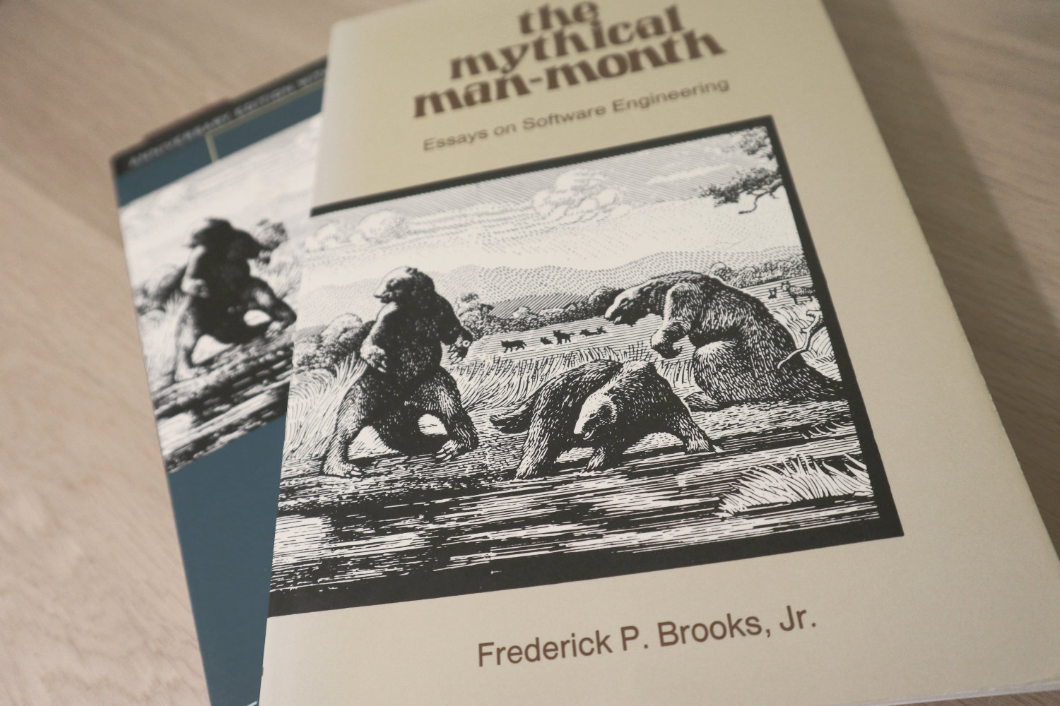 the mythical man month